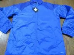Item thumbnail for item 51ade1d6-79ef-4436-b6f4-ad649a867f3b