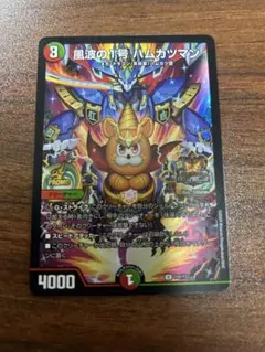 風波の1号 ハムカツマン　プロモ