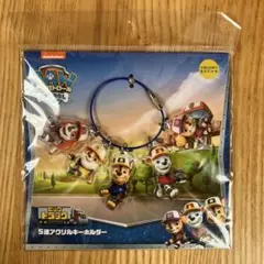 新品　未開封　パウパトロール　映画　パウパーティー　2025 イオンシネマ