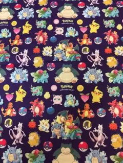 A ポケモン☆生地 はぎれ ラスト