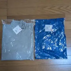 Item thumbnail for item b2960f2e-1ce8-4819-a13f-023d7508297e
