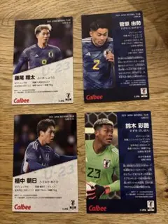 カルビー　ポテトチップス　サッカー日本代表　カード