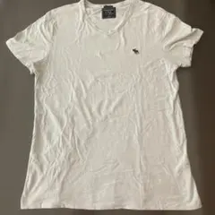Abercrombie & Fitch うっすらブルー Vネック Tシャツ S
