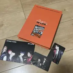 stray kids in生