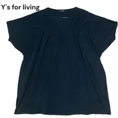 Item thumbnail for item 3c77aa0c-492c-4d34-bf27-e36ada2a5de1