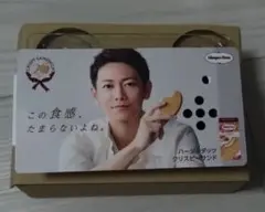 佐藤健　ハーゲンダッツ 音声 POP