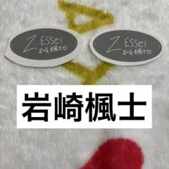 Item thumbnail for item ca799935-cb3c-4244-8a9e-63446858d077