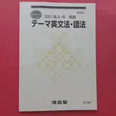 テーマ英文法・語法 2023年版 河合塾　夏期講習