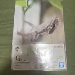 BANDAI クリアファイル＆セット G賞