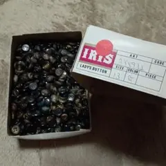 Item thumbnail for item 9baa44fe-08d2-42c7-b387-a44591d86ca5