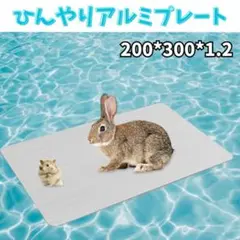 Item thumbnail for item 5958b749-ee72-4dd8-b71e-a781c68bb887