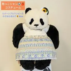 Item thumbnail for item 4f88f9a6-35f6-4af3-b4db-bd06a7aade24