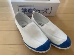 学進シューズ　 体育館シューズ　 上履き　 上靴 サイズ22cm