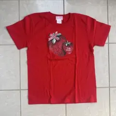 ナイルパーチ リボン付きイチゴプリント 赤 Tシャツ M