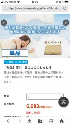 ＜新品未開封＞西川　雲の上のふわっと枕　枕カバー付き2個セット 2個セット】西川 雲の上のふわっと枕｜テレ東マート