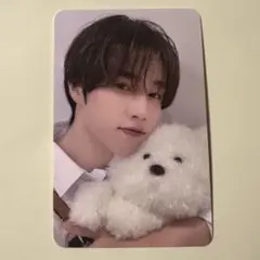 ソヌ　theboyz トレカ　hellolive ドボイズ　unexpected
