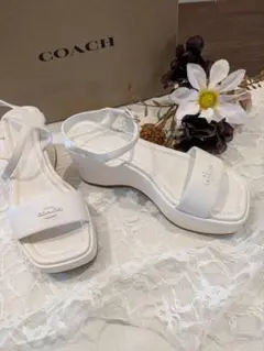 Item thumbnail for item 86aca346-d38b-492e-9550-68326528b738