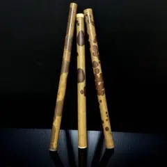 Item thumbnail for item 5475d41d-8914-4ea3-a3a4-7f1186a2433b