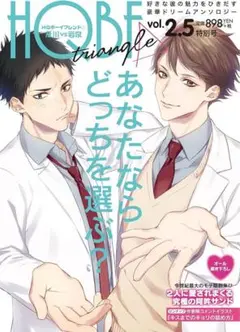 HQカレシ HQボーイフレンド 20冊セット 91AMYM6bawL._UF350,350_QL50_.jpg