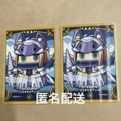 FGOフェス final journey コレクションカード　謎のヒロインXX