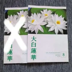 ベティーさま 大白蓮華8月号