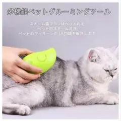 Item thumbnail for item e829e92e-c3ad-40d7-909d-06d58fb4bb2c