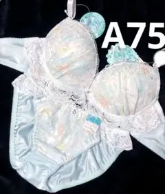 A75 フリル水彩シアーブルームブラジャー&フルバックショーツ