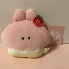新品未使用タグ付き　つぶらな瞳のいちごフェア