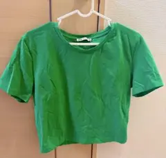 ZARA グリーン クロップドTシャツ Lサイズ