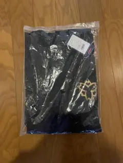 日本体育大学 ハンドボール部 ロングTシャツ 長袖