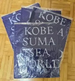 Item thumbnail for item ea35f334-72de-4784-bb9d-d7f060450034