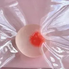 Item thumbnail for item a0ca5389-d639-4e65-9676-1b876c013685