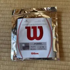 ウイルソン　チャンピオンズチョイスデュオ