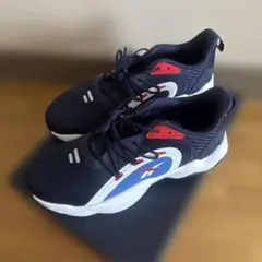 Reebok トレーニングシューズ ネイビー/ホワイト/レッド