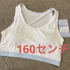 新品　シナモロール スポブラ　160センチ