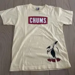 CHUMS チャムス　Tシャツ　プリント　ロゴ　ペンギン S イエロー