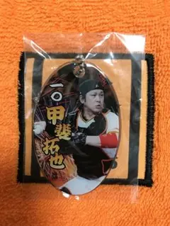 読売ジャイアンツ 甲斐拓也 PVCクリアチャーム