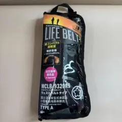 Item thumbnail for item a736ba92-b035-4344-9219-814249ec91f9