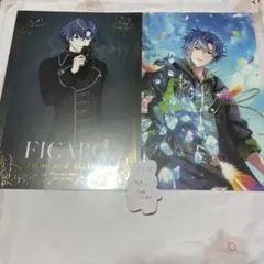 魔法使いの約束 まほやく フィガロ ポスター