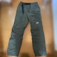 Item thumbnail for item 0a7dde97-6d95-4ee7-81a5-841a43294666