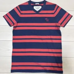 Abercrombie & Fitch ストライプTシャツ M