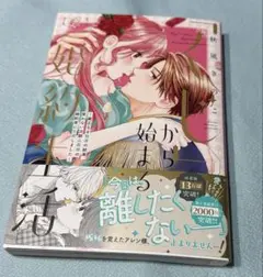 「くじ」から始まる婚約生活