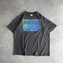 90s アートプリントTシャツ USA製 シングルステッチ 風景 三日月 太陽