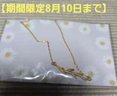 IRIEBEACH　iriebeach　アイリービーチ　ネックレス　ゴールド