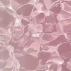 専用