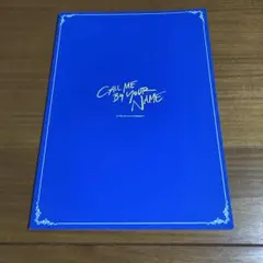 君の名前で僕を呼んで☆豪華版パンフレット☆