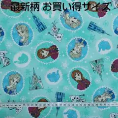 お買い得サイズ 最新柄 ディズニー アナと雪の女王 生地 はぎれ