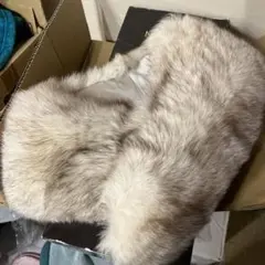 サガフォックス 和装 ショール
