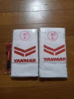 Item thumbnail for item 2687c159-4ab1-43e5-8cad-b6cd79ffa033