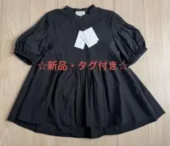 【新品】EMBOS ピンタックショートスリーブブラウス